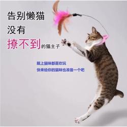 脖套猫玩具项圈逗猫棒 猫咪自嗨解闷后空翻训练 带羽毛铃铛