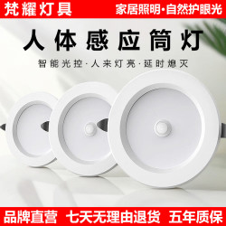 梵耀 人体感应灯嵌入式入户门自动雷达感应筒灯射灯过道灯走廊声控灯