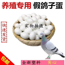 鸽子用品用具假鸽子蛋假蛋包邮假蛋孵卵用品草窝鸽子笼拍一发10