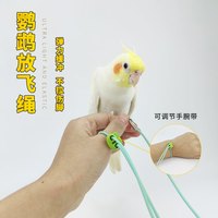 双11鹦鹉放飞绳鸟用不伤脚训练外出绳脚环脚链户外遛鸟牵引弹力绳