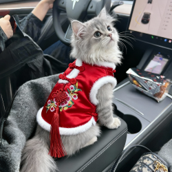 阿莫尔 猫咪新年衣服喜庆过年马甲猫咪汉服加厚英短银渐层宠物冬装唐装
