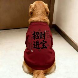 狗狗衣服秋冬新年喜庆“招财进宝”吉祥中大型两脚衣犬金毛萨摩耶拉