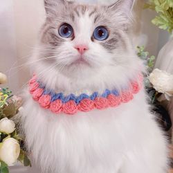 猫狗猫猫项圈可爱宠物针织围脖奶油花边围兜手工勾织郁金香猫项圈
