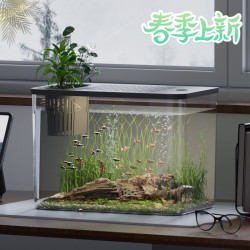 非凡家品 透明塑料鱼缸摔不碎PC饲养缸带盖幼儿园儿童养鱼仿玻璃亚克力乌龟
