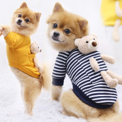 谷狗 网红口袋熊狗狗猫咪卫衣服秋冬新款幼犬小型犬保暖宠物用品