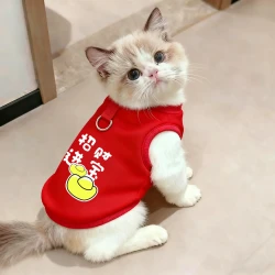 宠物猫咪衣服新年冬季保暖加厚卫衣英短蓝猫布偶德文小猫过年喜庆