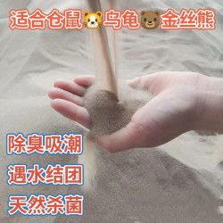 沙漠沙子天然细沙结团人工沙滩沙漠景观百灵鸟洗澡仓鼠尿批发沙