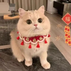 福花韵 宠物新年围脖福字修狗猫咪秋冬衣服可爱围兜小猫口水巾猫猫项圈yw
