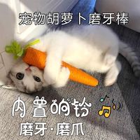 猫咪玩具胡萝卜咬不烂耐磨小猫磨牙棒内置响声宠物自嗨玩具用品