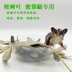 烘干桉树叶蜜袋鼯鼬磨牙消毒杀菌除臭窝垫材料用品小蜜喜欢的天然