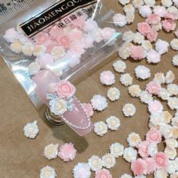 VF 玫瑰花月季花混色混大小一包（无具体颗数）一包挺多的