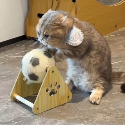 iosn 猫玩具猫抓球猫抓板耐磨不掉屑自嗨解闷猫咪猫爪剑麻球猫爬架cs