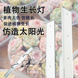 植物补光灯植物多肉上色全光谱防徒仿阳光灯LED补光灯