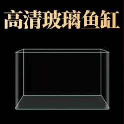 热弯玻璃鱼缸客厅小型水族箱桌面免换水鱼养鱼生态迷你鱼缸裸缸缸