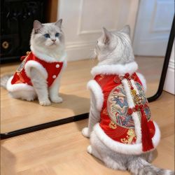 阿莫尔 猫咪衣服秋冬款中国风新年唐装龙纹刺绣棉袄冬季保暖宠物过年衣服