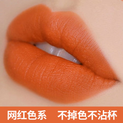 溥畔 主播推荐正品不掉色不沾杯不脱色胡萝卜滋润保湿口红雨衣哑光防水