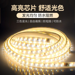 EYPHI/益菲客厅防水照明灯带家用长条三色变光灯180珠超亮线灯