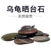 大冰洋 乌龟晒台天然原生造景用品鹅卵石乌龟缸扁平晒背爬台休息干湿躲避