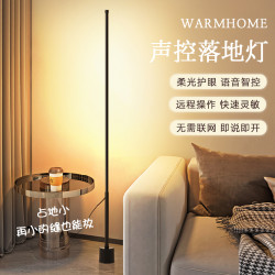 奥美优 落地灯客厅角落卧室睡眠房间氛围台灯床头阅读暖光立式高级感轻奢