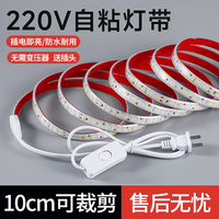 拉伯塔 超亮防水led灯带开关220v自粘户外摆摊灯带条家用客厅照明软灯条