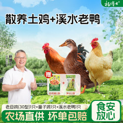 杨博士 食安放心杨博士土鸡深山散养童子鸡老鸭高品质肉质鲜嫩