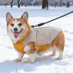 宠物狗狗衣服秋冬款棉衣加厚保暖中型犬小型犬柯基泰迪冬天可牵引