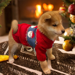 狗狗衣服秋冬季保暖小型犬幼犬宠物泰迪比熊博美圣诞新年柴犬毛衣