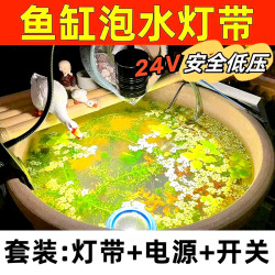 防水灯带24V低压led硅胶灯条鱼池灯户外防水灯带自粘鱼缸水池灯带