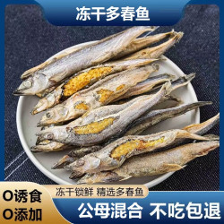 翡翠猫 冻干多春鱼宠物猫零食小鱼干成猫幼猫拌粮狗狗严选多籽健康