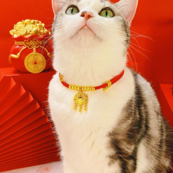 猫项圈富贵长命锁高颜值宠物金锁项链无声铃铛猫咪小型犬脖子挂饰