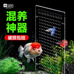 yee 鱼缸隔离板透明亚克力隔离网分离板孔雀鱼孵化盒水族箱隔离板