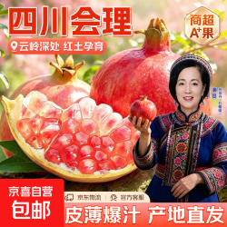 突尼斯软籽石榴四川会理产地 一斤150g+