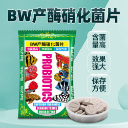 BW产酶硝化菌片 含菌量高 快速去除氨氮亚硝酸盐澄清水质