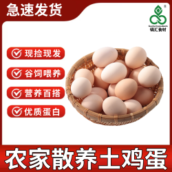 锅汇食材 土鸡蛋30枚每日现捡皖南土鸡营养草鸡蛋