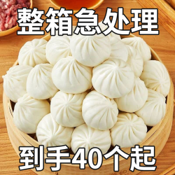 急处理】杭州风味小笼包手工小笼包鲜肉商用半成品早餐速食冷冻