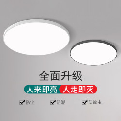 拉伯塔 抗干扰声控感应led楼梯自动声吸顶灯光控人体智能玄关阳台阳台灯