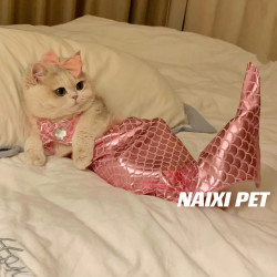 猫咪美人鱼猫猫变装搞笑泳装鱼尾巴造型可爱比基尼狗狗夏宠物衣服