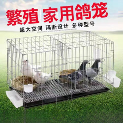 缘百年 鸽子笼家用养殖专用笼鸽子笼大号鸽子笼家用特大号新款养殖鸽笼清