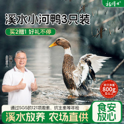 杨博士 皖南溪水放养正宗土鸭农场直供