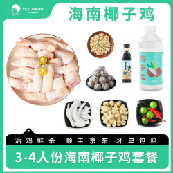 速食海南椰子鸡预制半成品套餐走地鸡顺丰/京东包邮