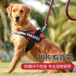 狗狗胸背式牵引绳遛狗绳狗链子拉布拉多金毛泰迪大中小型宠物用品
