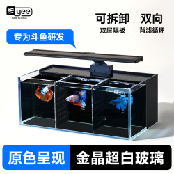 yee 超白斗鱼缸玻璃多格隔离背滤免换水客厅小型生态泰国斗鱼排缸