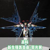 高科-新生强袭自由 Hg1/144正义拼装模型玩具 送支架,水贴 光翼