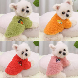 狗狗猫咪衣服洋气服饰幼犬高颜值大型犬比熊新款宠物衣服宠物用品