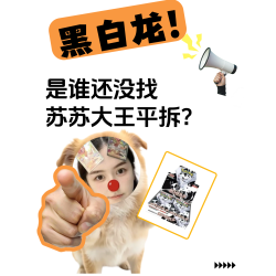 Pokemon 日版盲盒卡牌 SV11黑白龙（代拆）