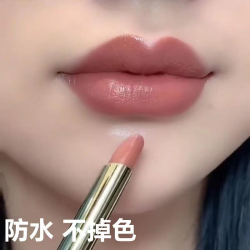 不掉色防水肉桂奶茶色口红哑光黄皮显白小细管持久吃土色保湿神器