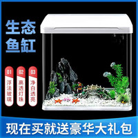 鱼缸客厅小型免换水懒人缸带氧气水族箱自循环生态缸
