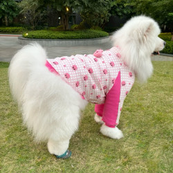 大型犬宠物护肘服保护关节衣萨摩耶金毛拉布拉多边牧服饰防磨损潮