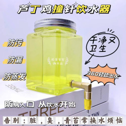 芦丁鸡专用撞针饮水器超大自动干净喂水器水壶防变质防臭防漏