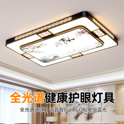 超亮新款照明LED灯具客厅大灯节能上档次新中式吸顶灯房间卧室灯